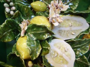 limone1 300x226 - I limoni siciliani nella ceramica di BluArte a Giardini Naxos