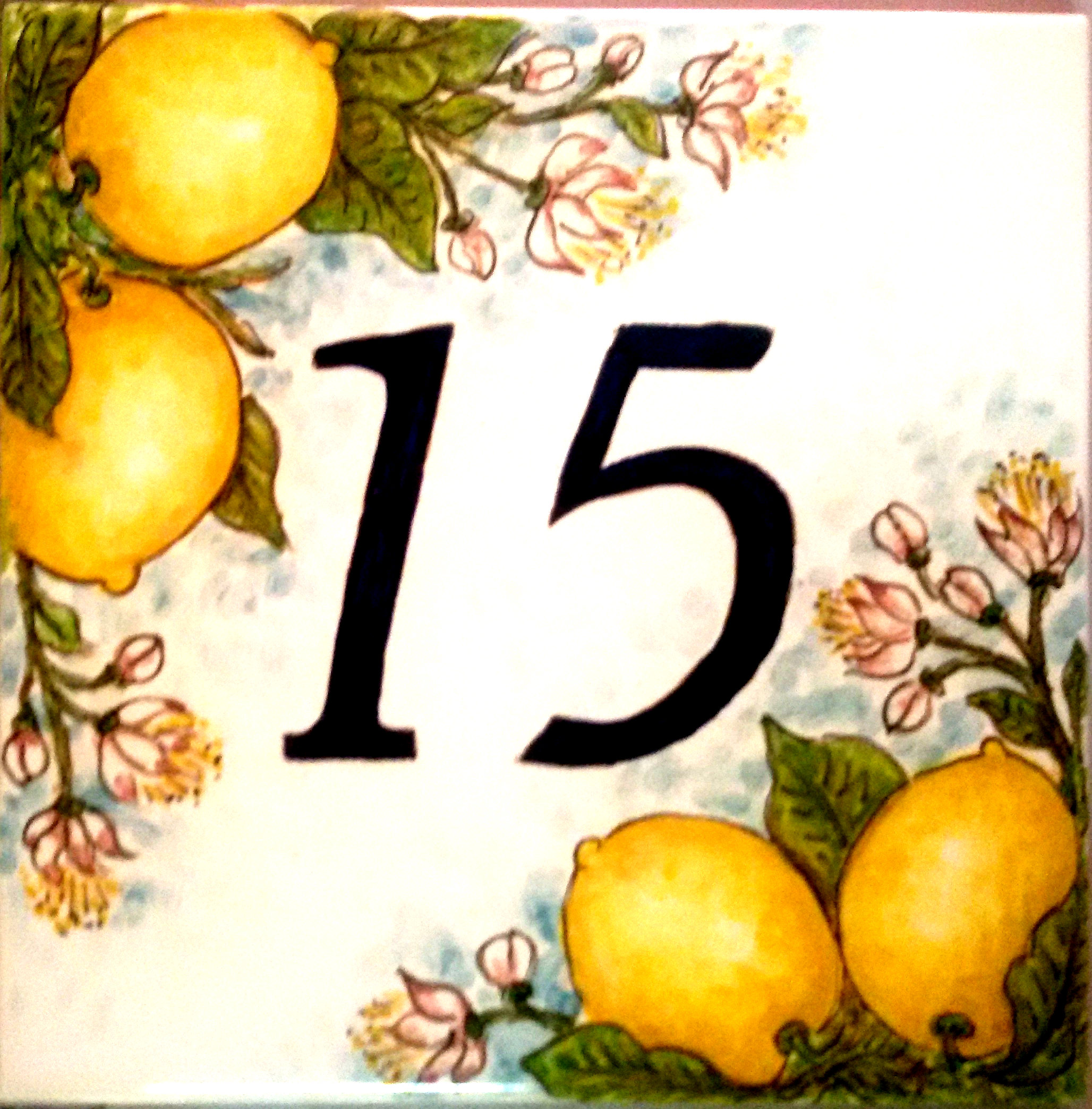 Numero civico 20 x 20 cm (cod. MAT3) 20180708 183702 600x609 - Numero civico 20 x 20 cm (cod. MAT3)